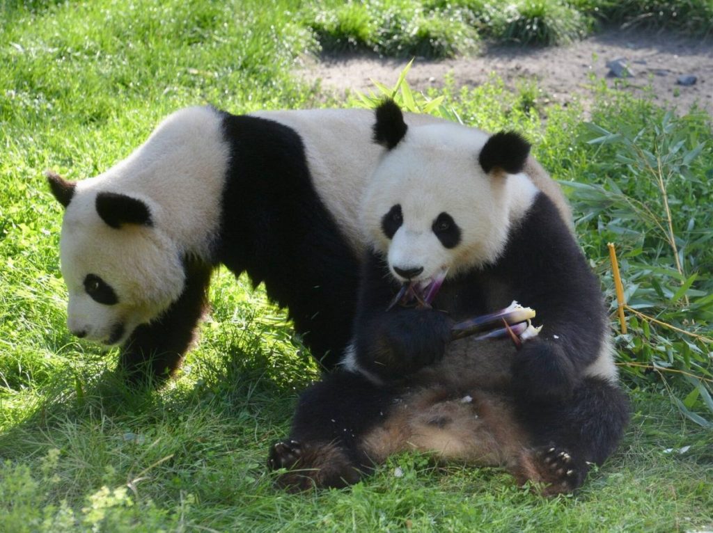 Zoo Berlin