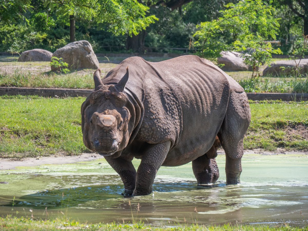 Zoo Berlin