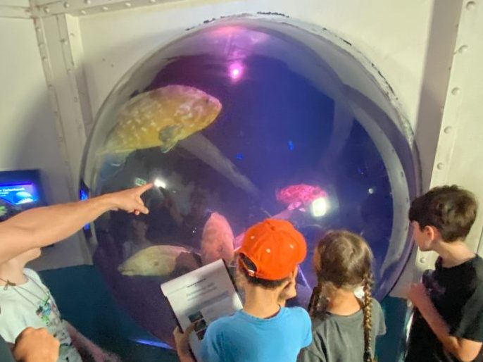 Sea Life Berlin