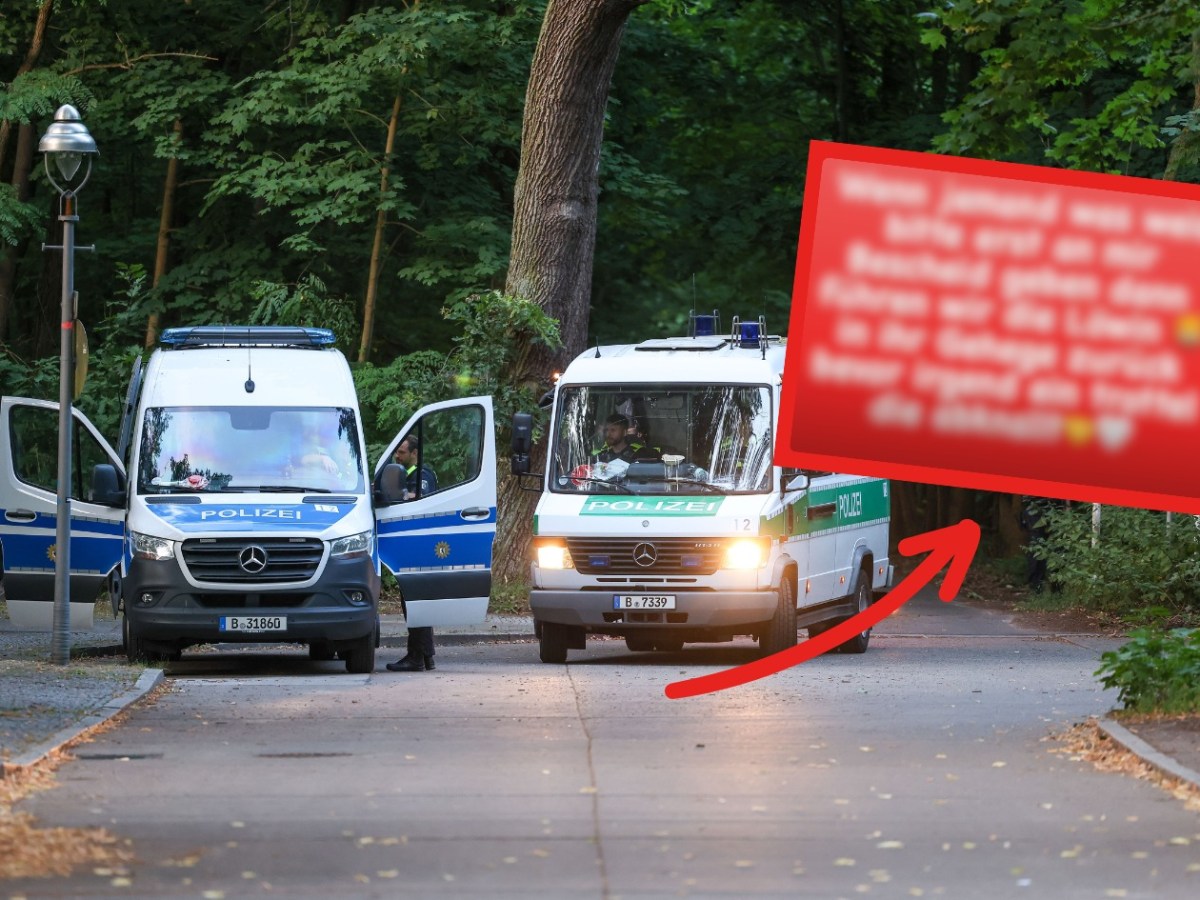 Berlin Löwin Remmo