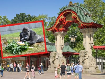 Zoo Berlin