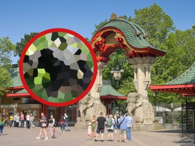 Zoo Berlin
