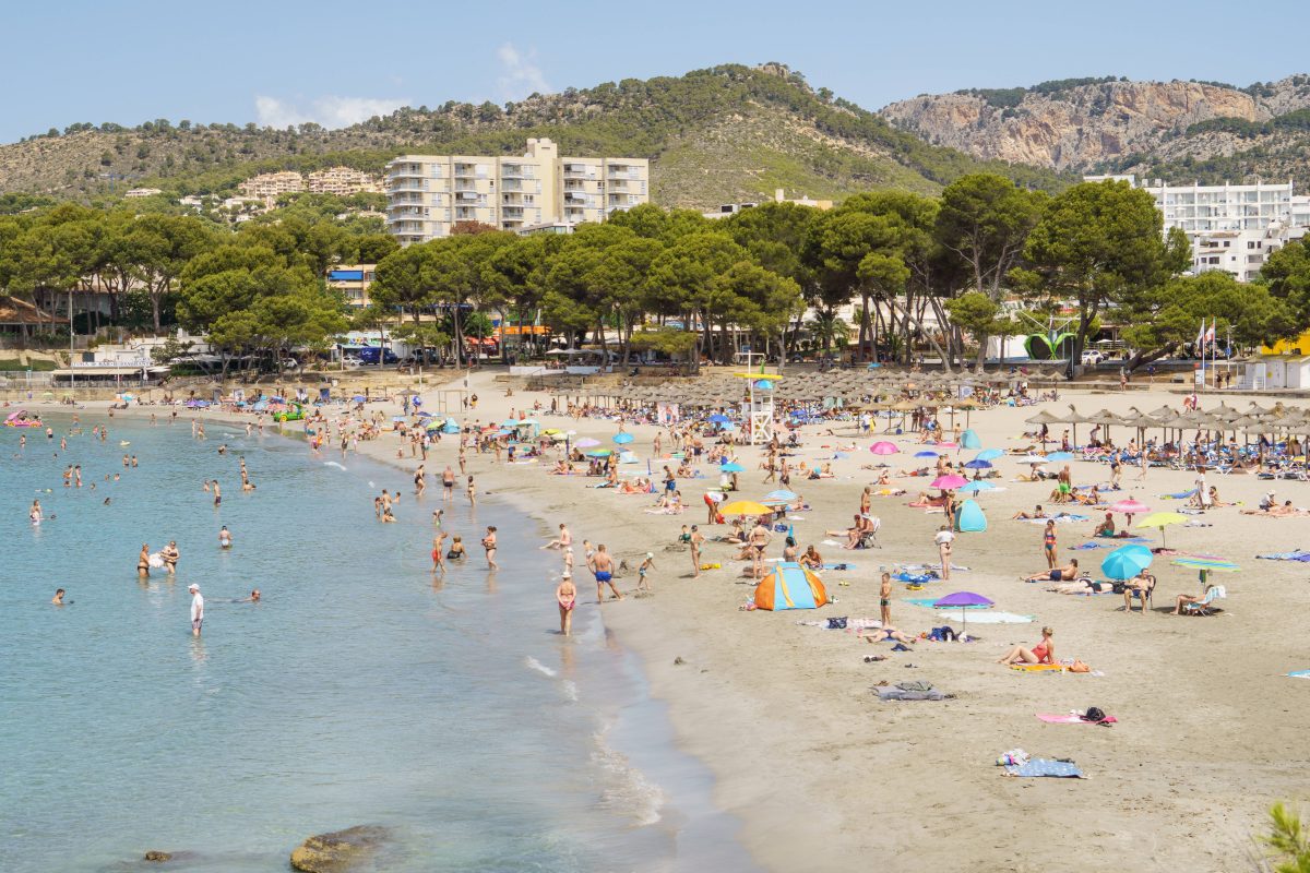 Mallorca: Urlauber finden gigantischen Meeresbewohner am Strand und können ihren Augen nicht trauen.