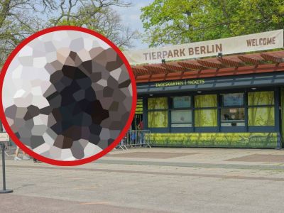 Zoo und Tierpark Berlin