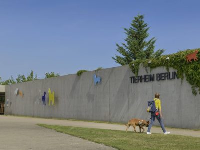 Tierheim Berlin