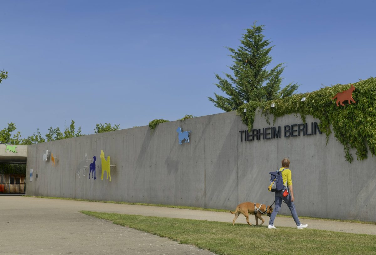 Tierheim Berlin