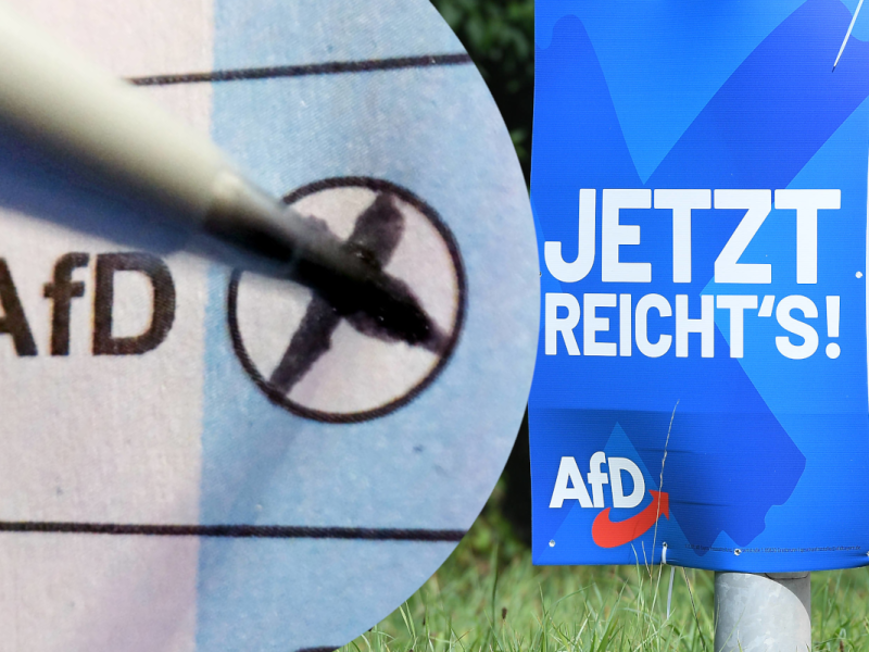 AfD bei über 30 Prozent: Nicht nur im Osten – wenn nur SIE wählen dürften!