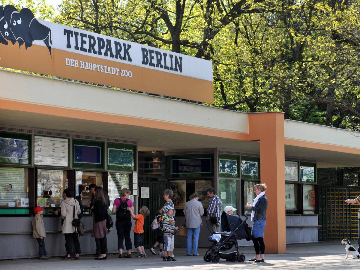 Tierpark. Zoo. Berlin. Attraktion.