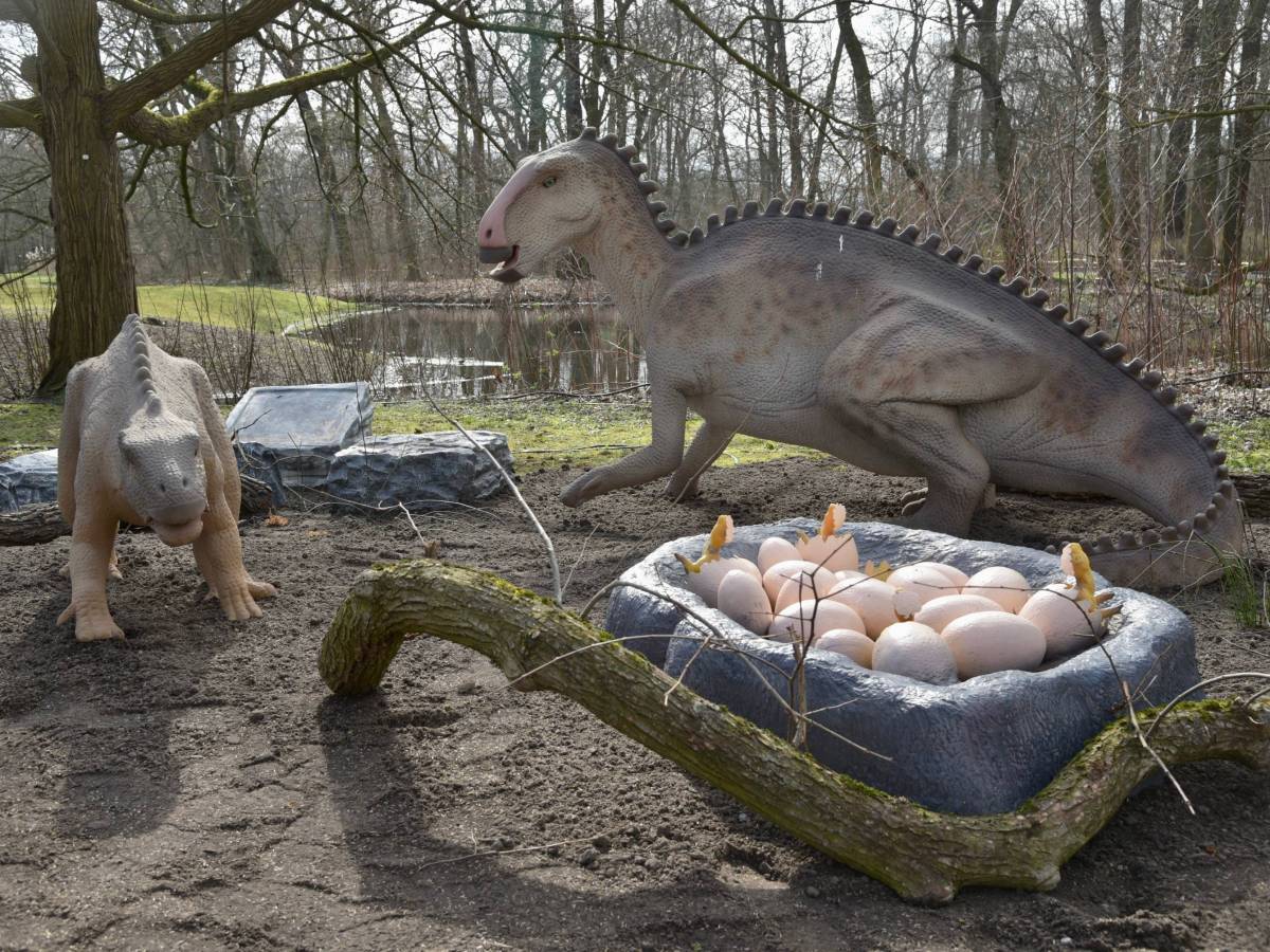 Tierpark Berlin