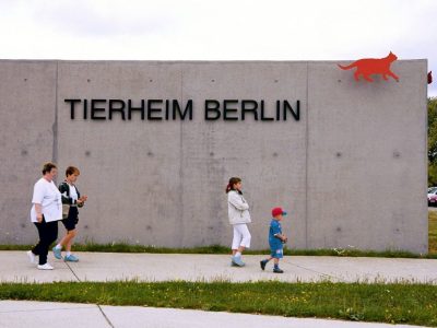 Tierheim Berlin