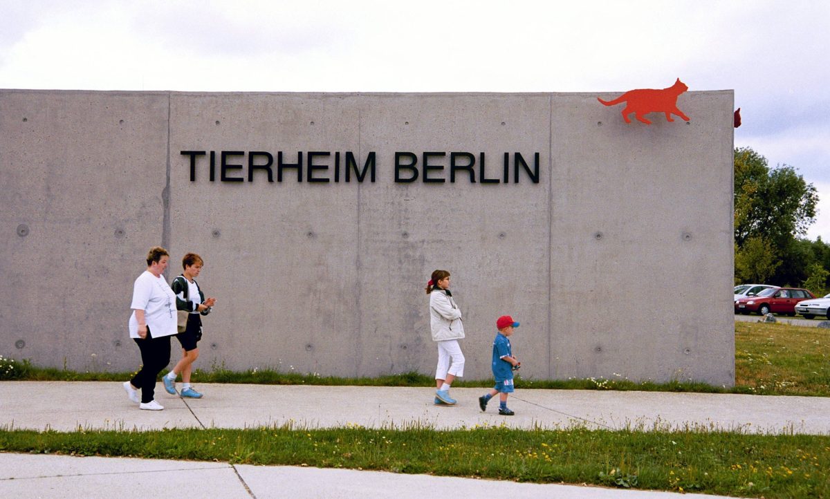 Tierheim Berlin