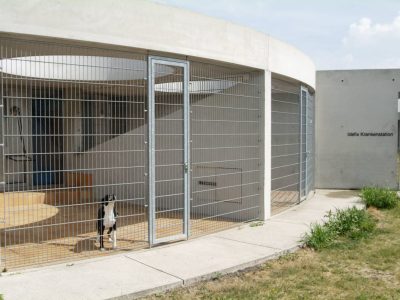 Tierheim Berlin