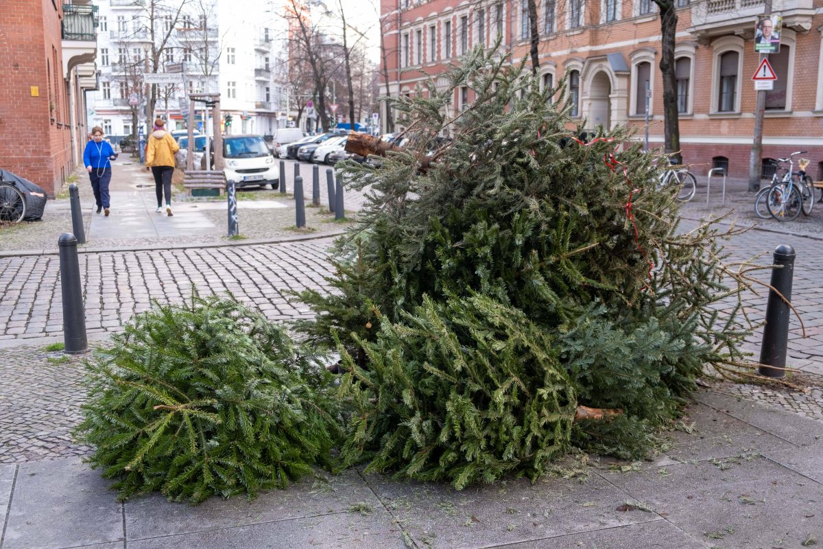 Ausgediente Weihnachtsbäume liegen nach Weihnachten in Berlins Straßen herum.