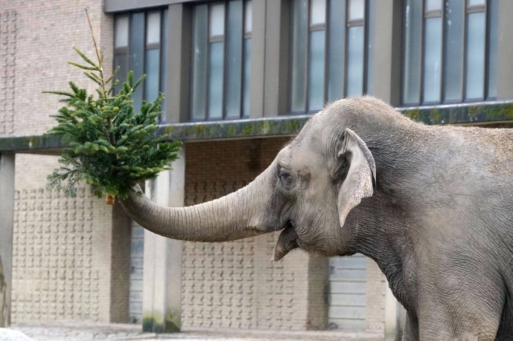 Zoo und Tierpark Berlin