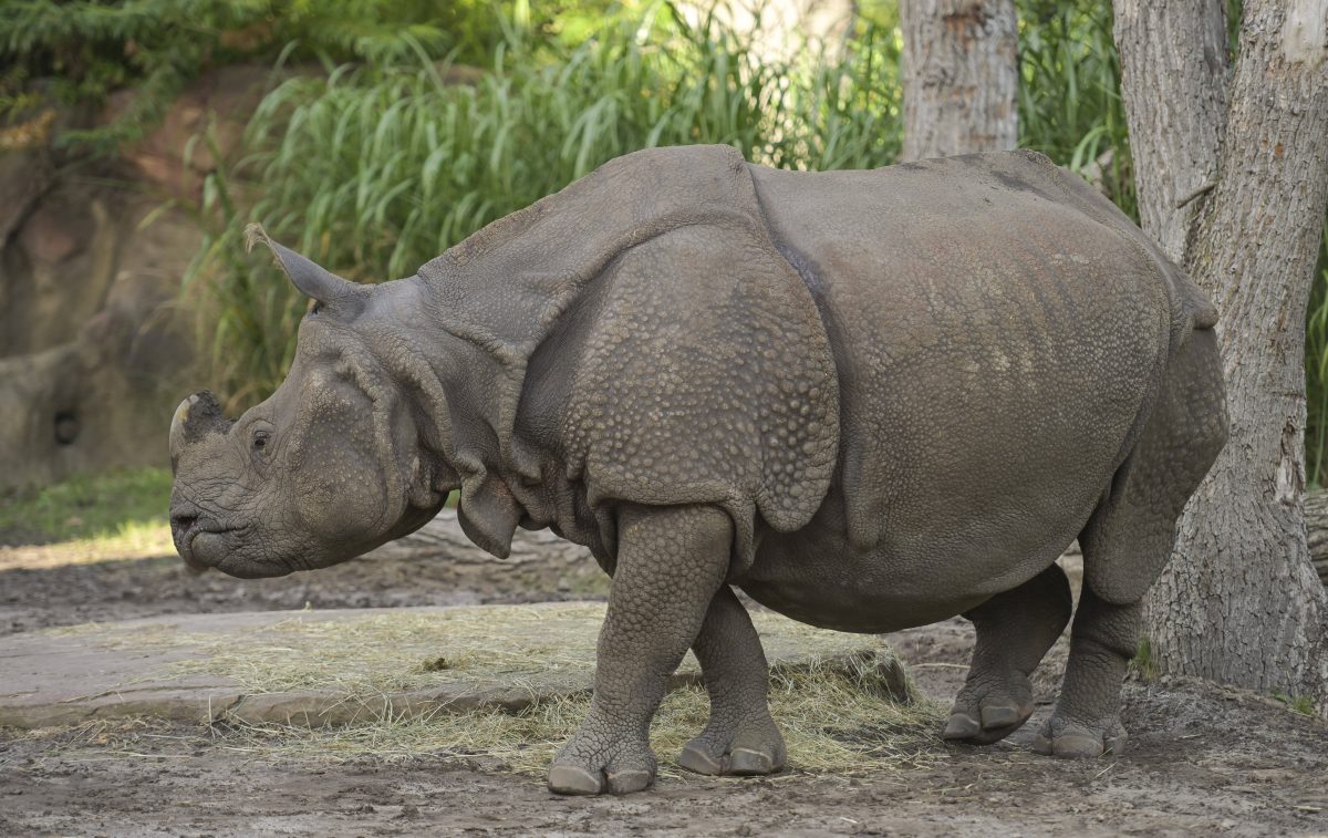 Zoo Berlin