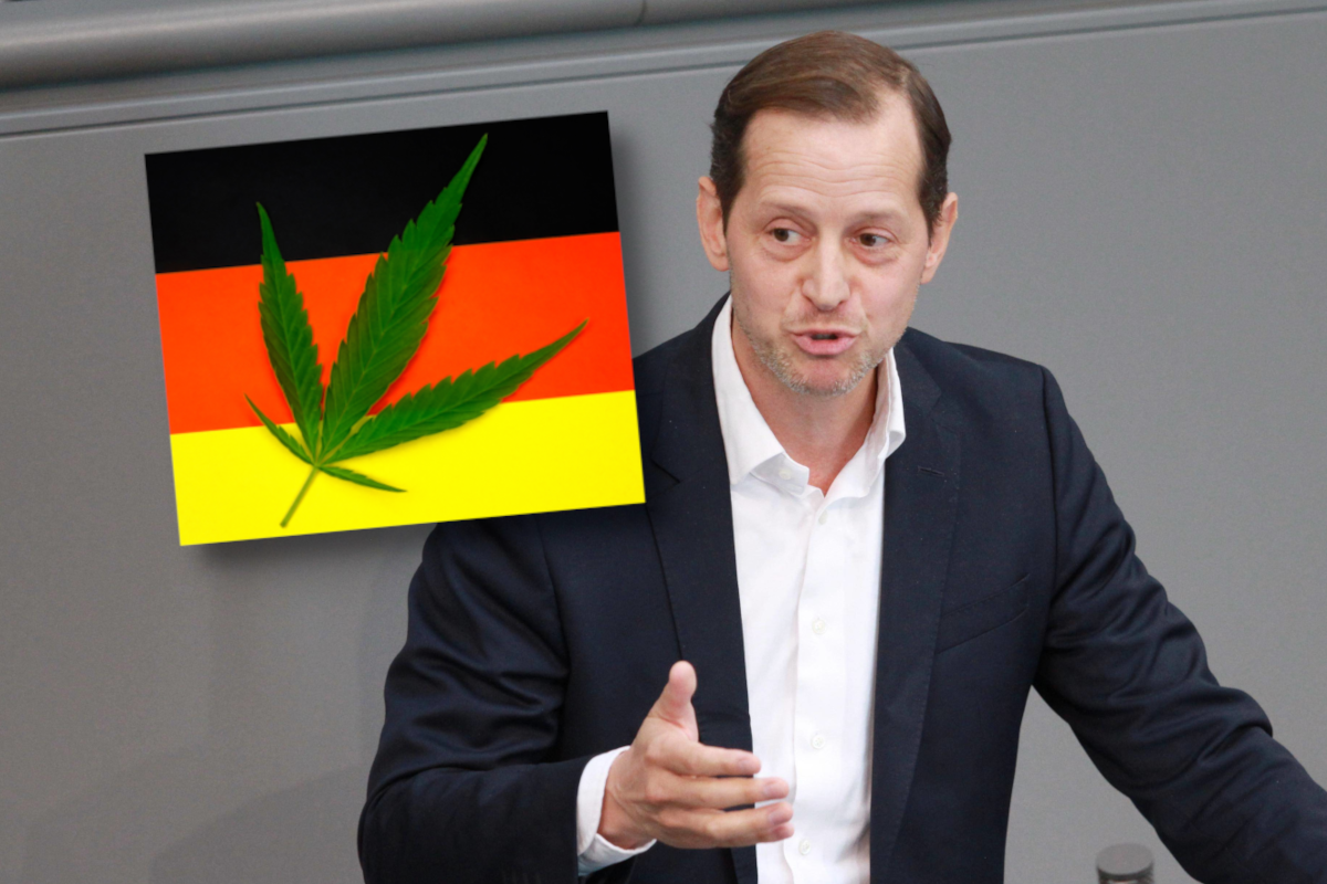 AfD im Bundestag: Einer stimmte für Cannabis-Legalisierung.