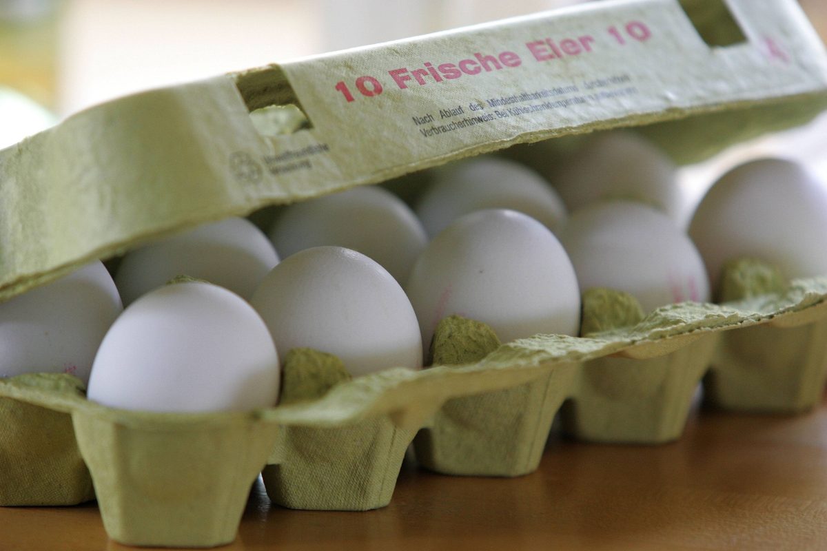 Als diese Aldi-Kunden den Eierkarton öffnen, können sie nicht glauben, was sie sehen.