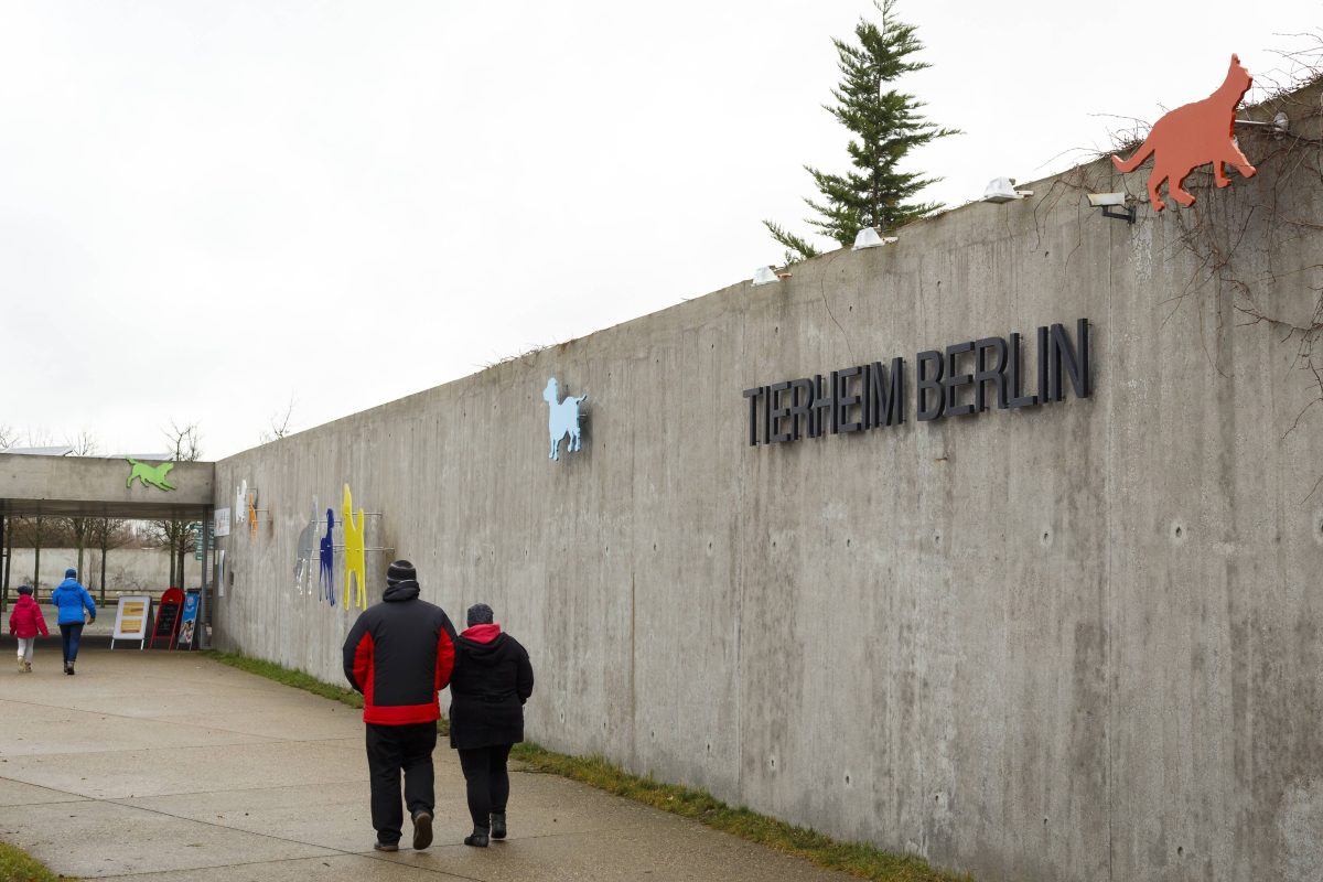 Tierheim Berlin