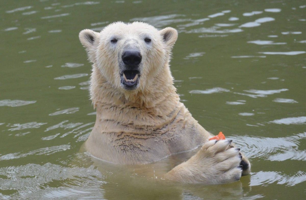 Tierpark Berlin