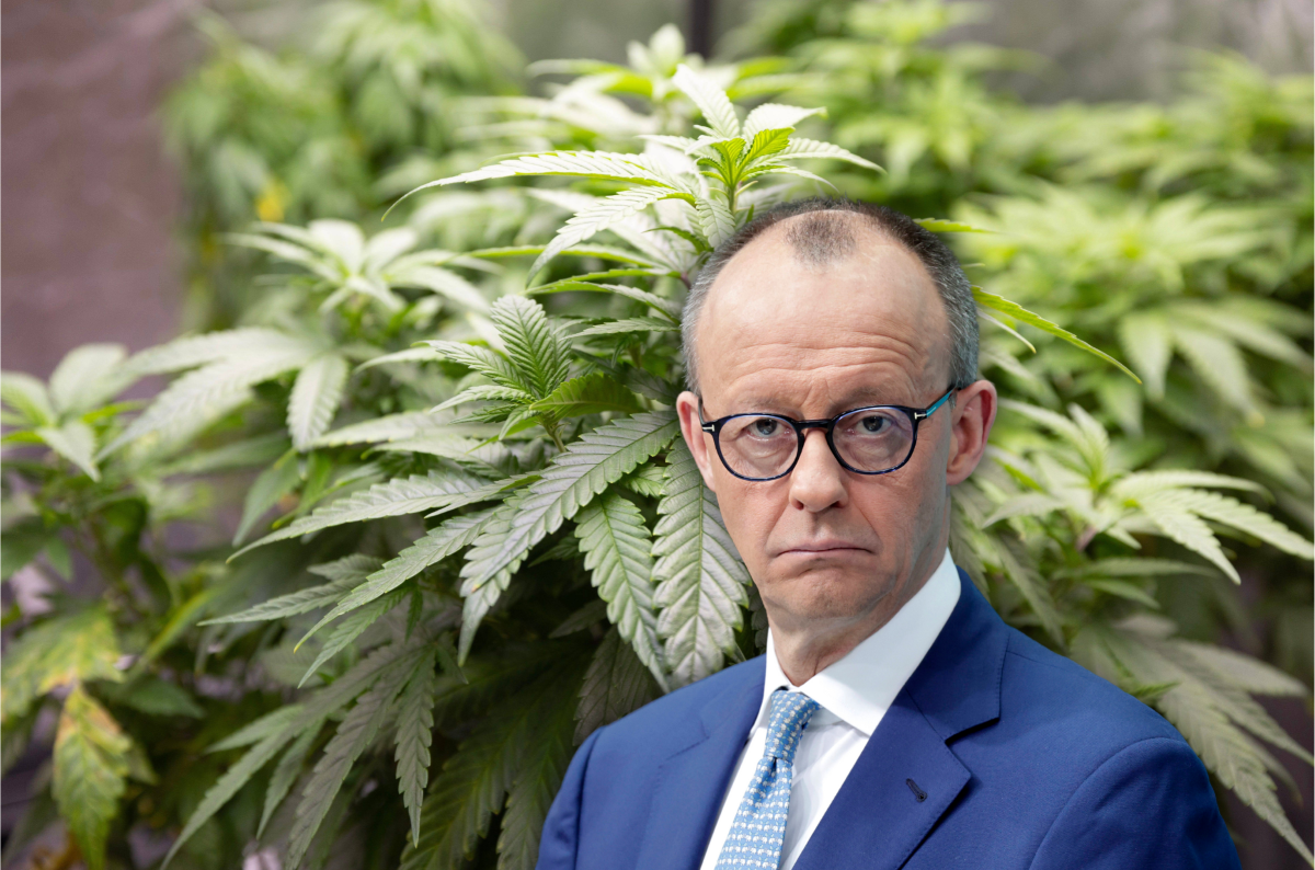 CDU-Chef Merz beichtet bei "ntv", dass er schon einmal Cannabis ausprobiert hat.