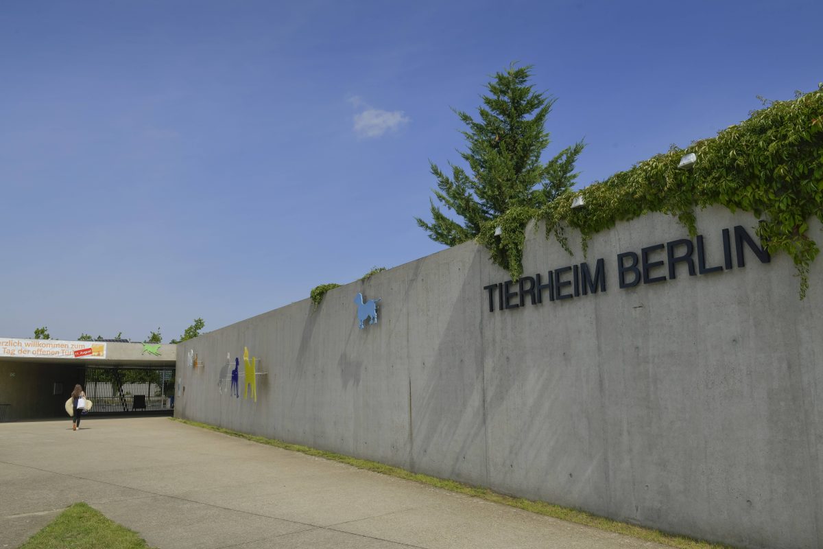 Tierheim Berlin