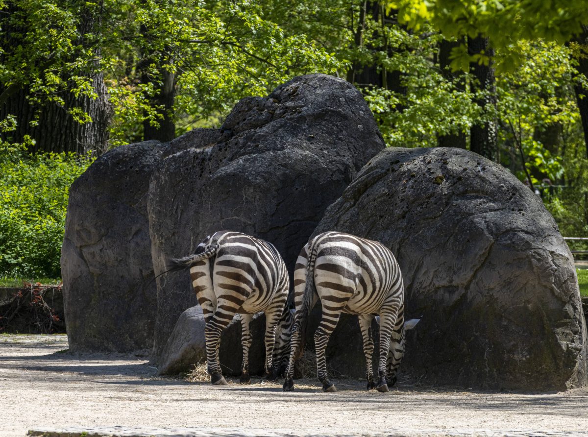 Tierpark Berlin