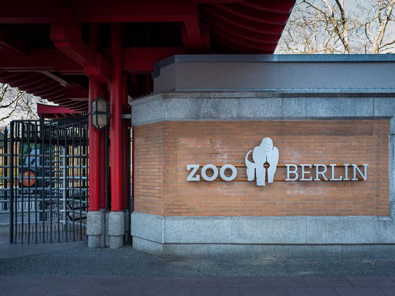 Zoo Berlin: Romantischer Schnappschuss zu besonderem Tag – der Grund ist kurios