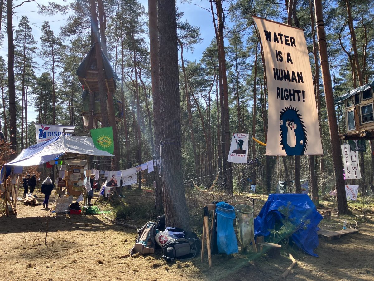 Im Wald nahe dem Tesla-Werk in Grünheide (Brandenburg) ist ein Protestcamp entstanden.