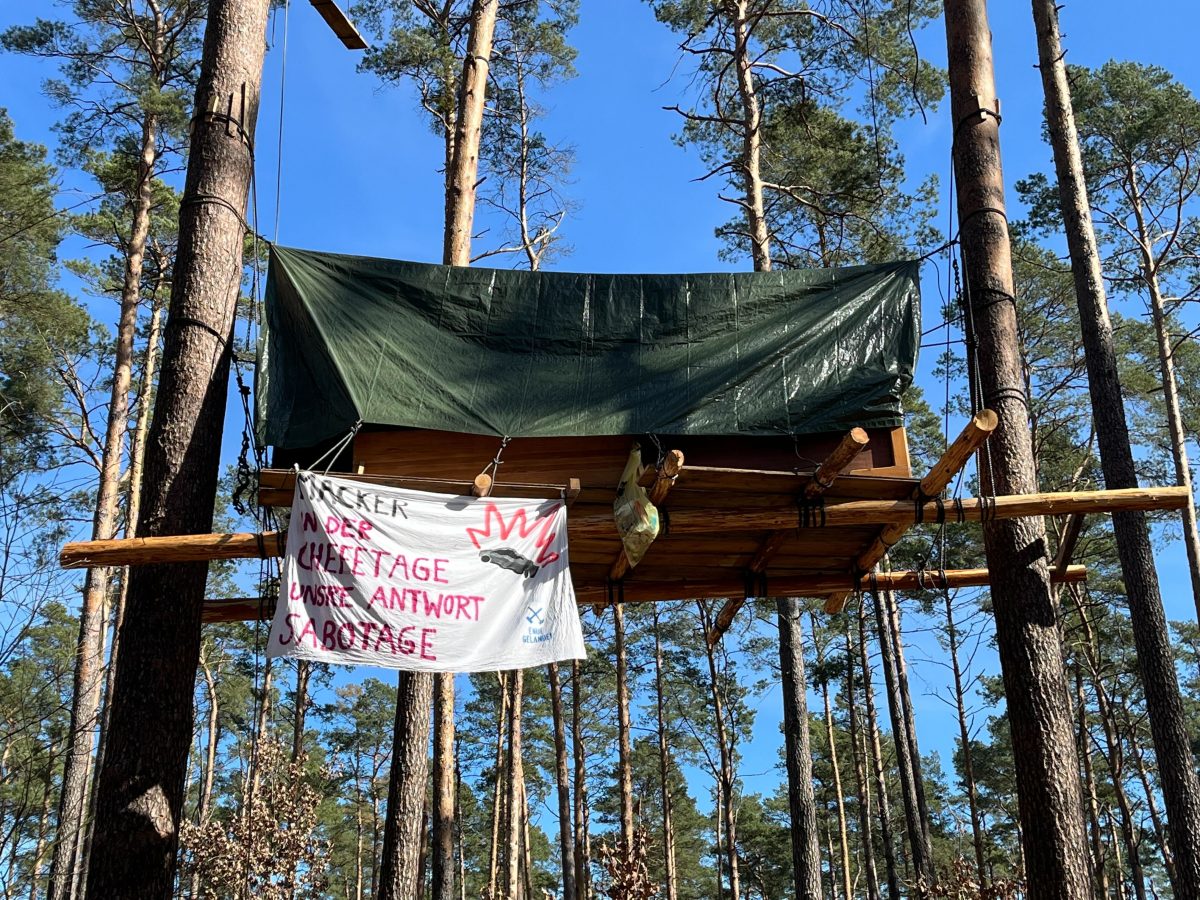 Dieses Baumhaus steht im Protest-Camp gegen Tesla. Wer da oben schlafen will, muss schwindelfrei sein.