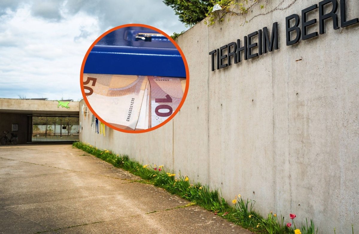 Tierheim Berlin