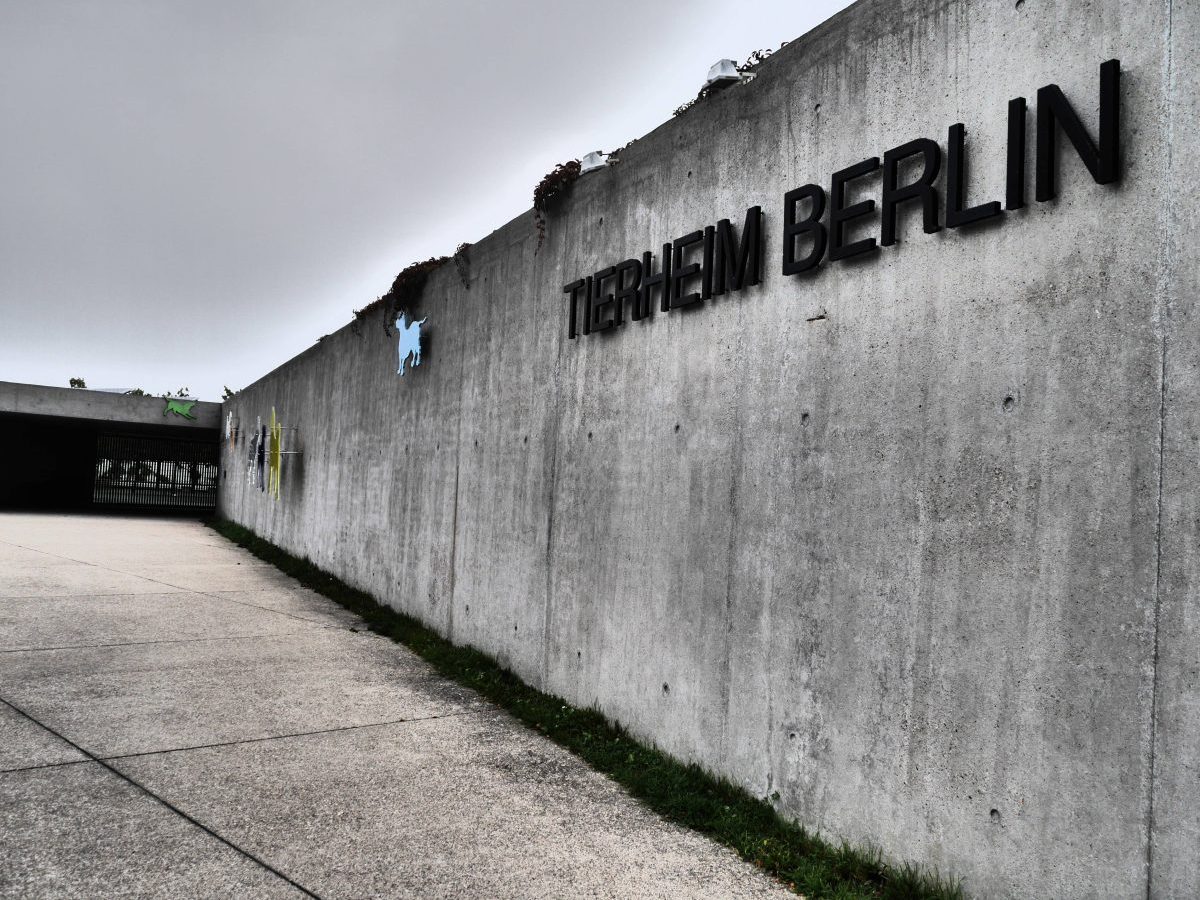 Tierheim Berlin