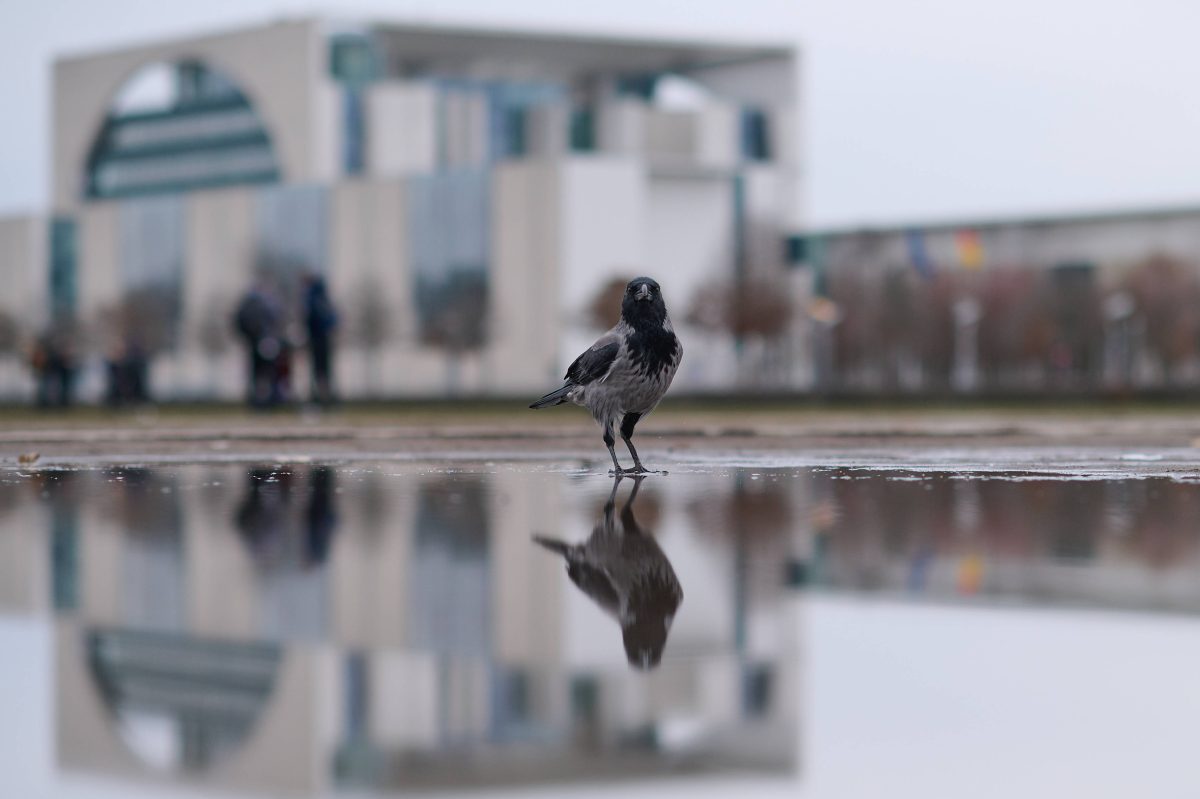 Wetter in Berlin & Brandenburg