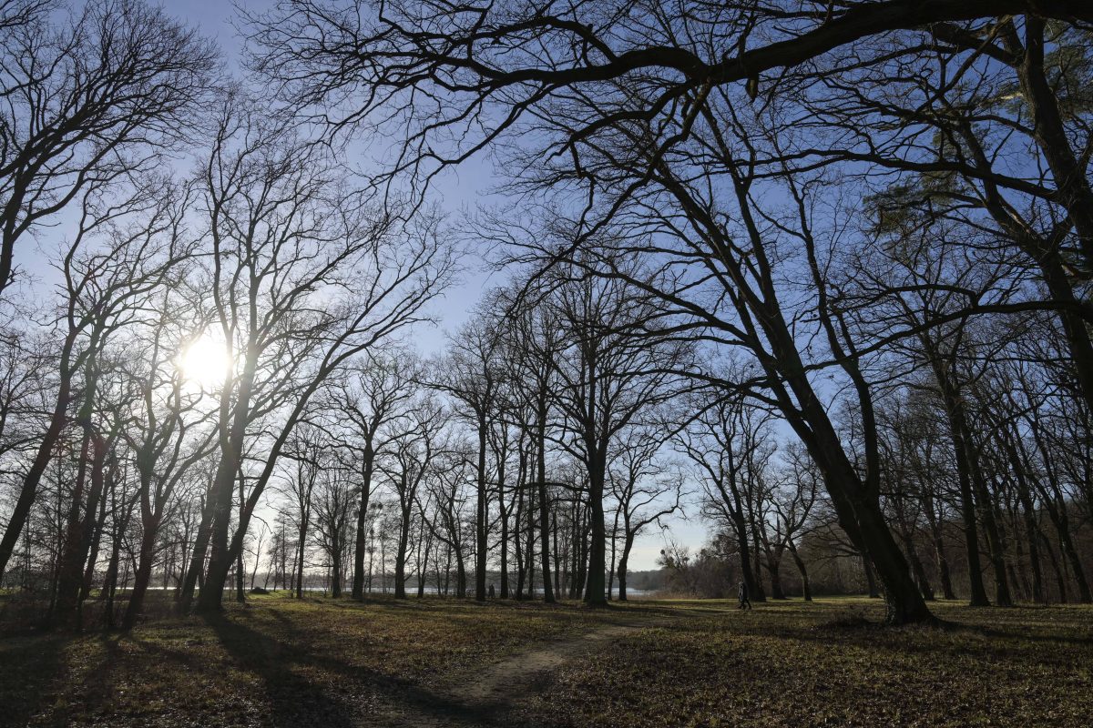 Wetter in Berlin & Brandenburg