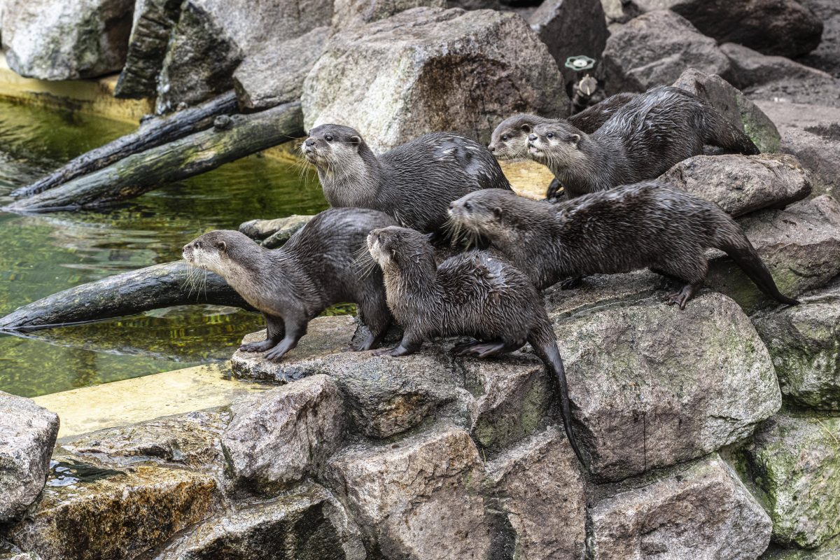 Tierpark Berlin