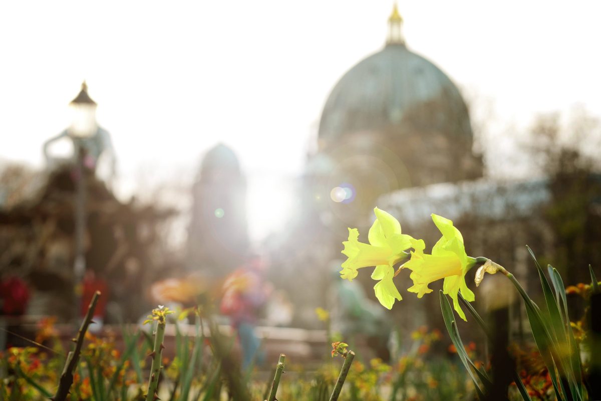 Wetter Berlin Brandenburg