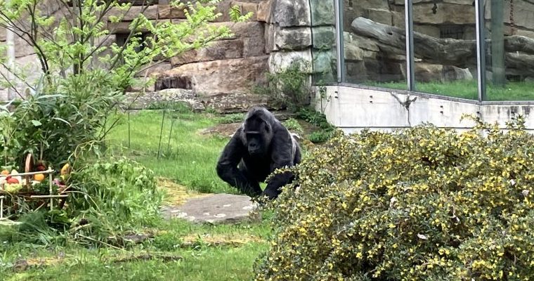 Zoo Berlin