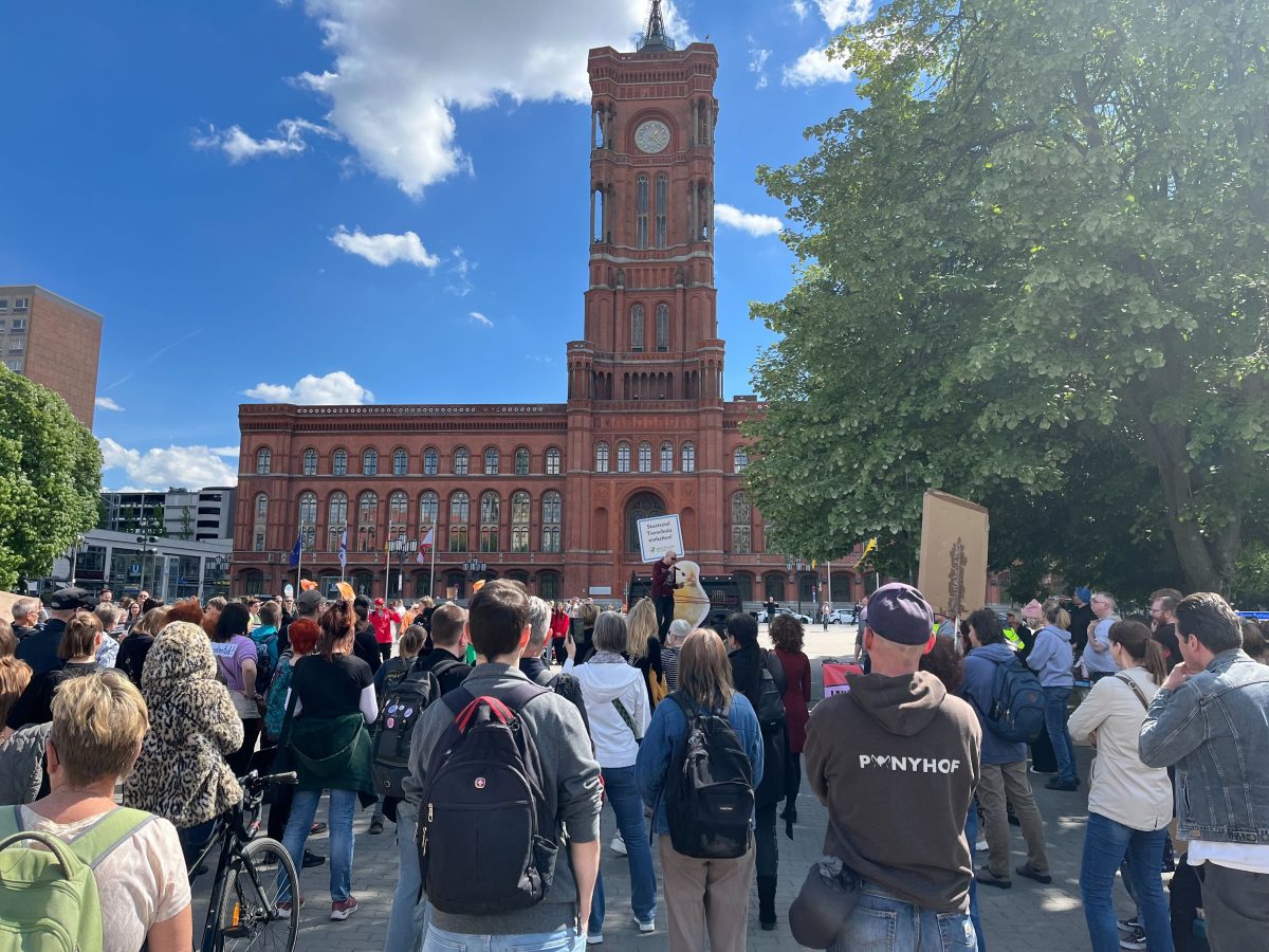 Demos in Berlin: Heftige Kritik an CDU und SPD – SIE demonstrierte mit