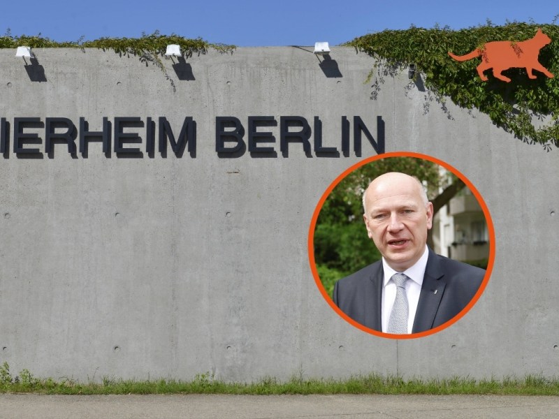 Tierheim Berlin und 39 weitere Organisationen schreiben Brandbrief – „Mit tiefer Sorge“