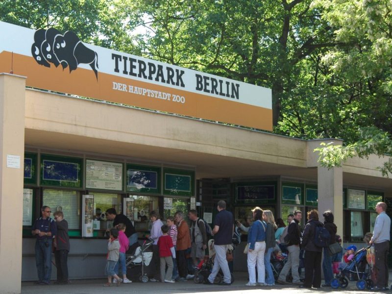 Tierpark Berlin veröffentlicht eindrückliche Warnung – „Eine Todesfalle!“