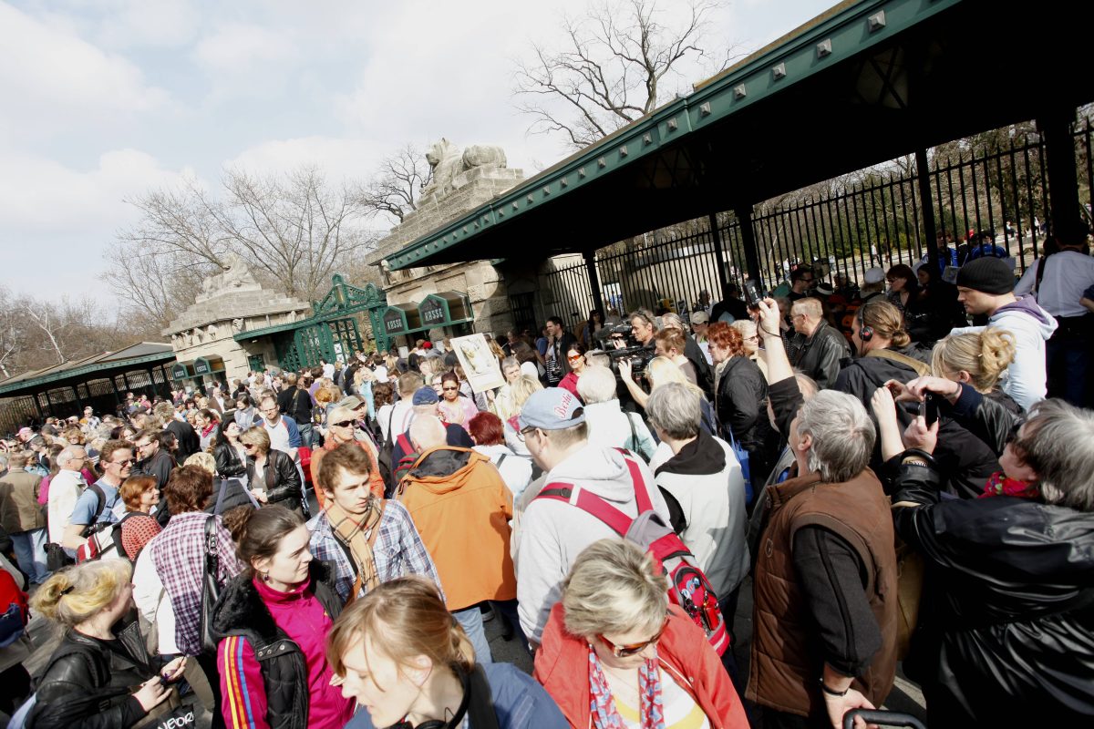 Zoo Berlin