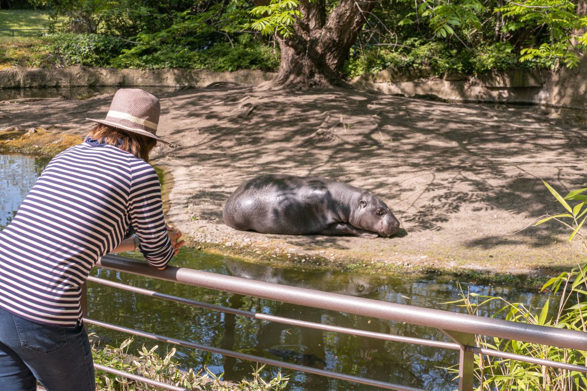 Zoo Berlin