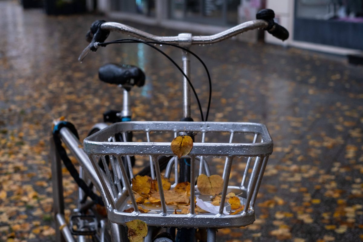 Wetter in Berlin & Brandenburg