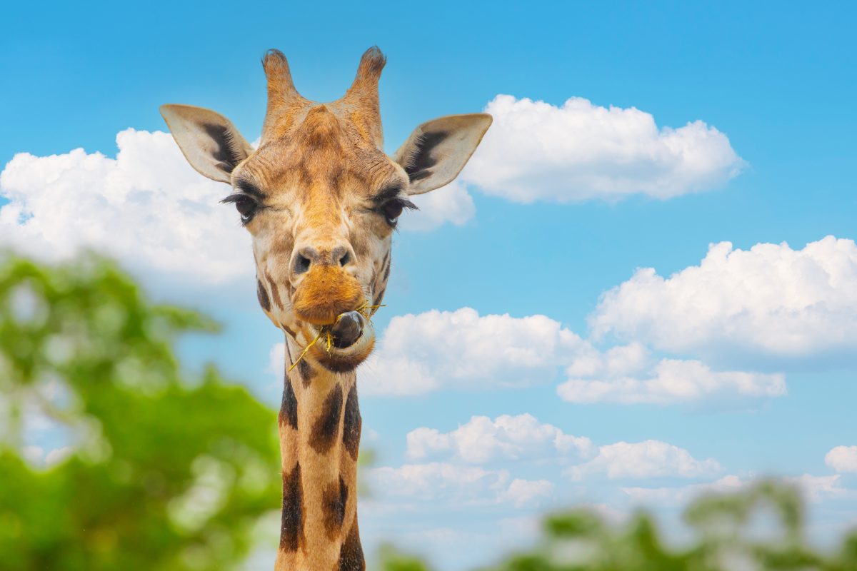Tierpark Berlin