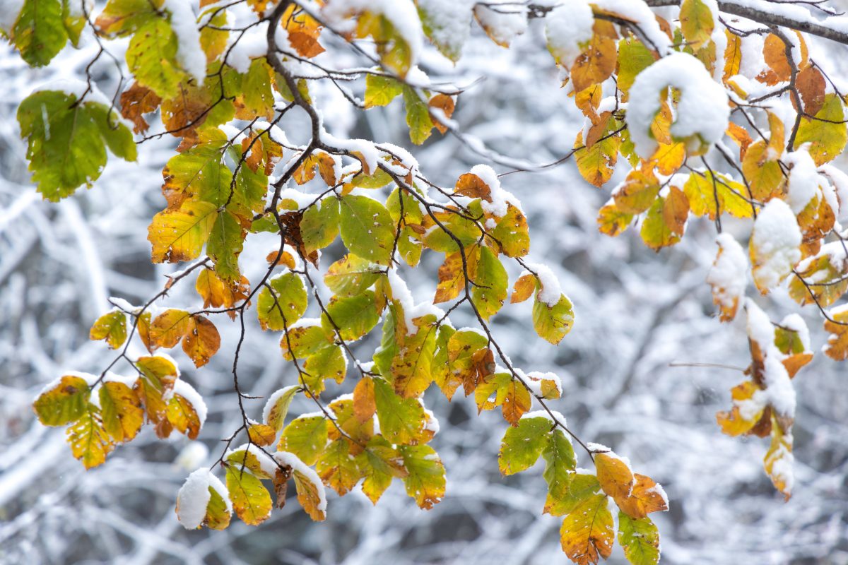 Wetter in Berlin & Brandenburg