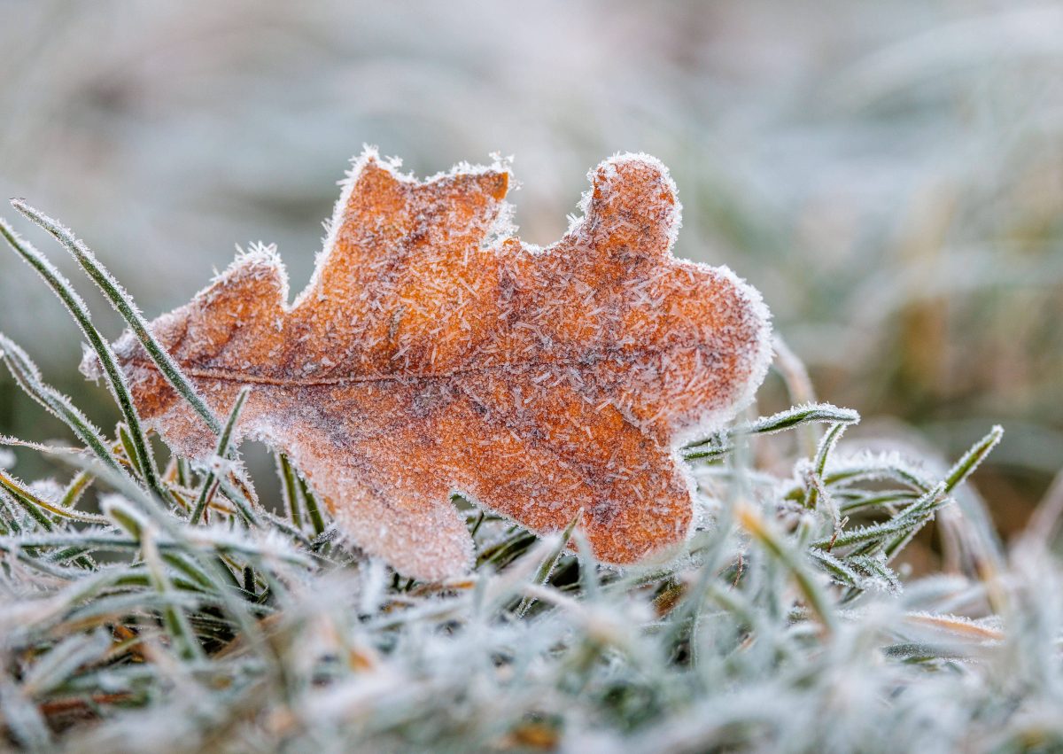 Wetter in Berlin und Brandenburg