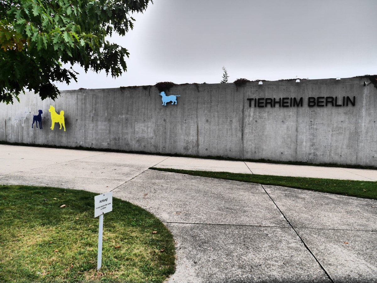 Tierheim Berlin