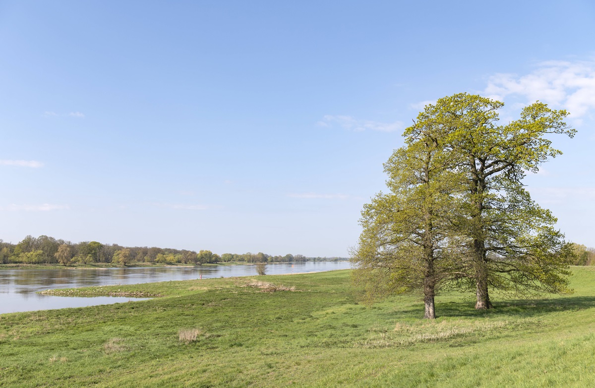 Die Elbe bei Cumlosen in Brandenburg.