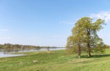 Die Elbe bei Cumlosen in Brandenburg.