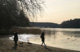 Hunde spielen abends an einem See in Berlin.