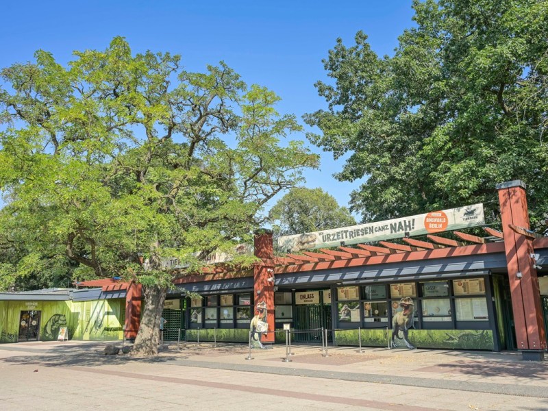 Tierpark Berlin: Aufregung im Gehege – DIESES Tier sorgt für großes Staunen